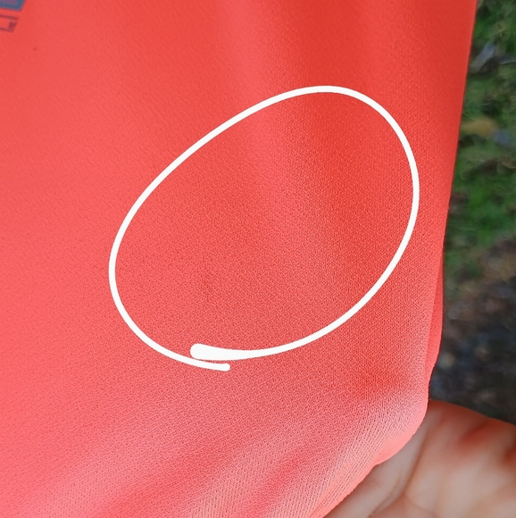 Womens NIKE Orange Purple Cheetah Print Running Shorts Sz M Tempo Athletic Lined - Picture 13 of 14